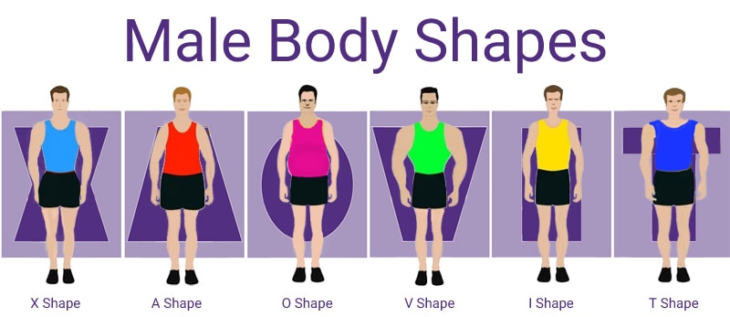 Male Body Shape Calculator